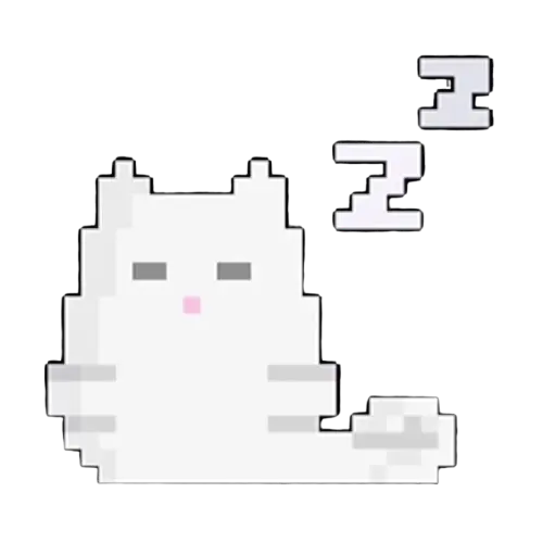 gato blanco